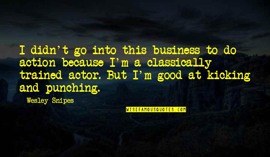 Kicking But Quotes By Wesley Snipes: I didn't go into this business to do