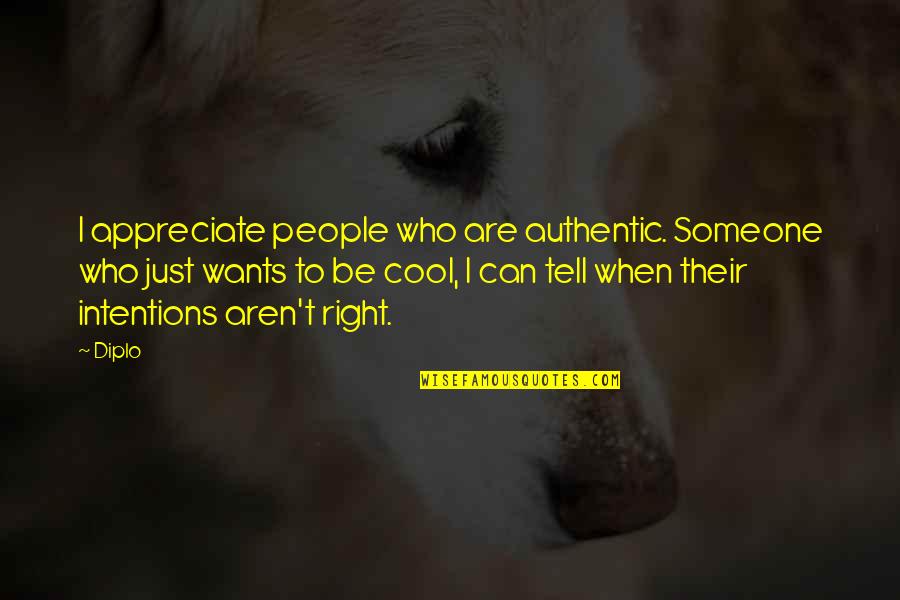 Kiddie Catcher Quotes By Diplo: I appreciate people who are authentic. Someone who