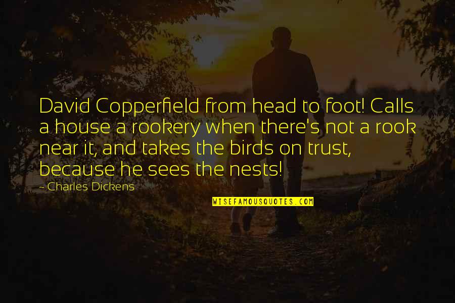 Kinmonth Quotes By Charles Dickens: David Copperfield from head to foot! Calls a