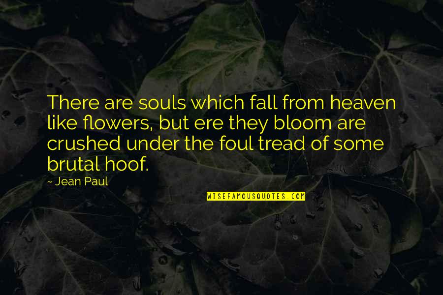 Kinmonth Quotes By Jean Paul: There are souls which fall from heaven like