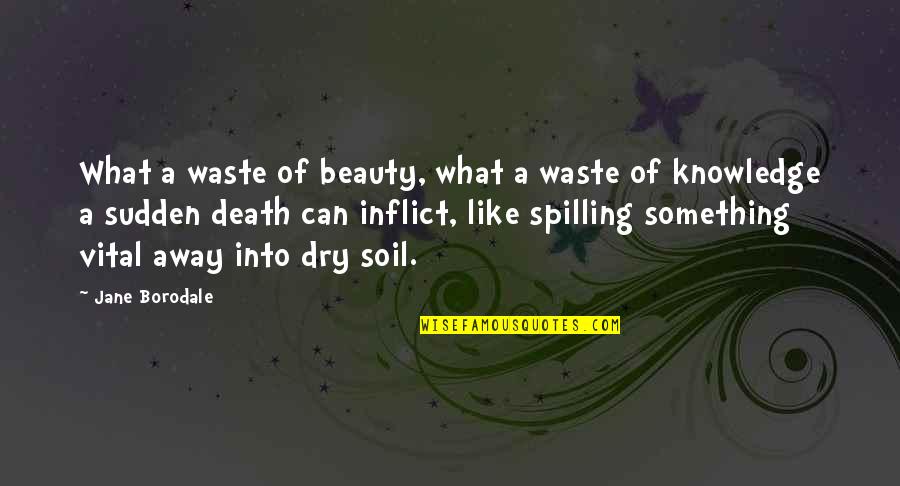 Kirchheimer Atp Quotes By Jane Borodale: What a waste of beauty, what a waste