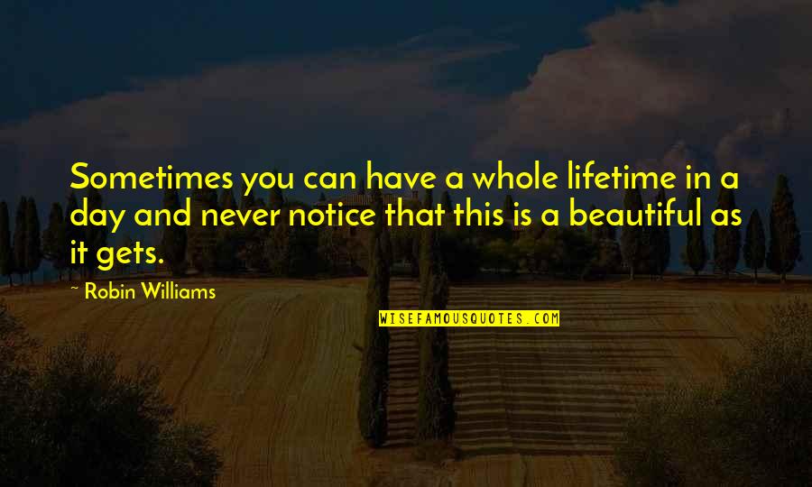 Kiyokata Kaburaki Quotes By Robin Williams: Sometimes you can have a whole lifetime in