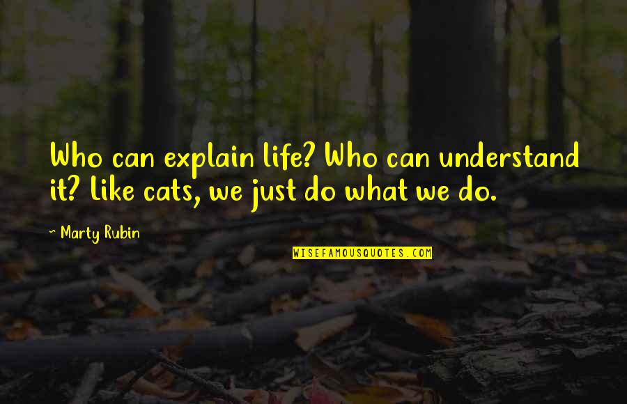 Kluczynski Girtz Quotes By Marty Rubin: Who can explain life? Who can understand it?