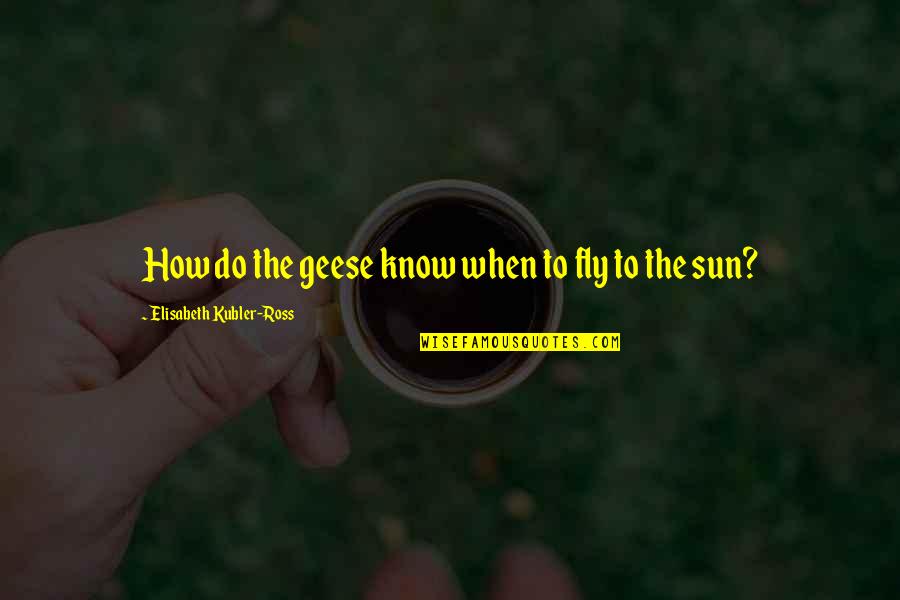 Know When To Move On Quotes By Elisabeth Kubler-Ross: How do the geese know when to fly