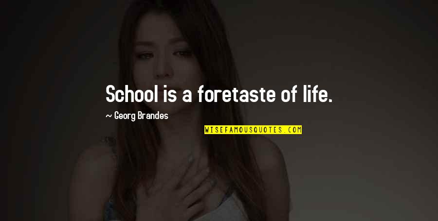 Konakatume Quotes By Georg Brandes: School is a foretaste of life.