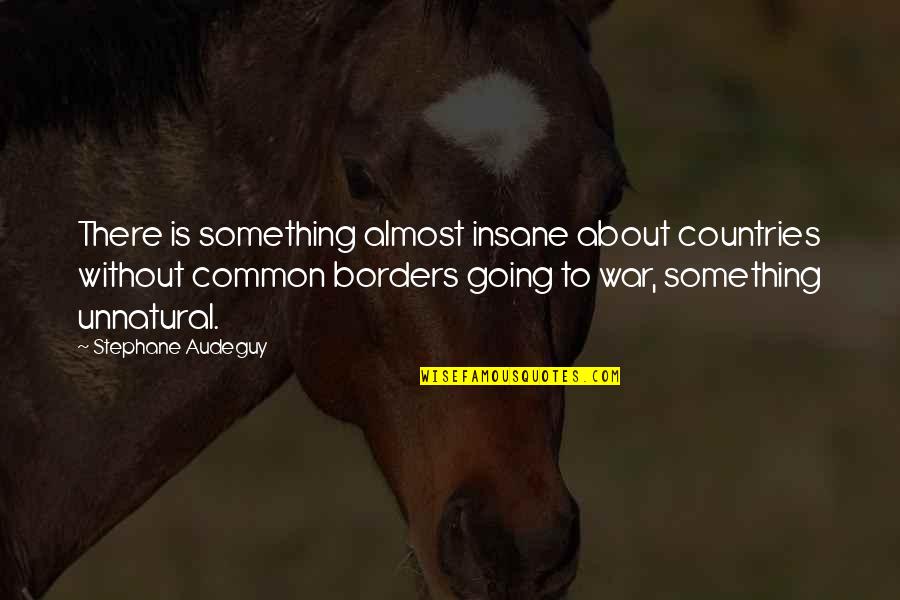 Kosik Krist F Quotes By Stephane Audeguy: There is something almost insane about countries without