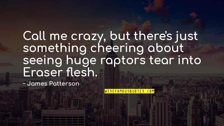 Kothenc Quotes By James Patterson: Call me crazy, but there's just something cheering