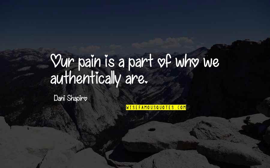 Krasnova Ekaterina Quotes By Dani Shapiro: Our pain is a part of who we