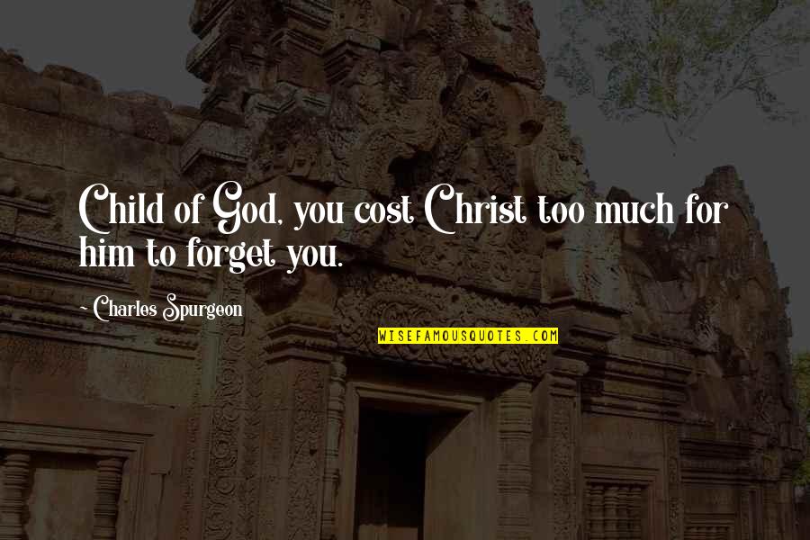 Krebs On Security Quotes By Charles Spurgeon: Child of God, you cost Christ too much