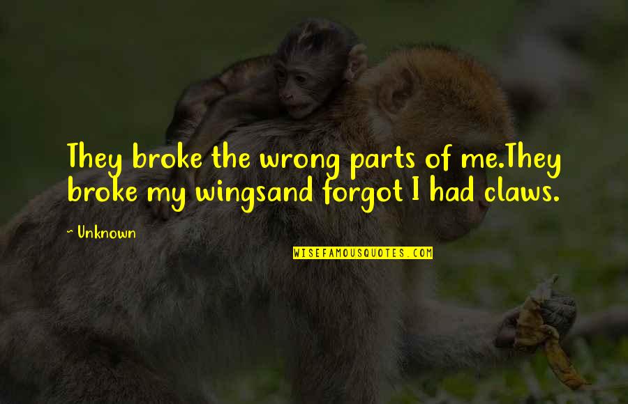 Krokyhobbi Quotes By Unknown: They broke the wrong parts of me.They broke