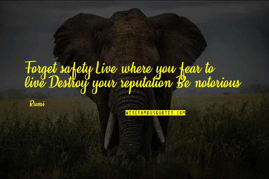 Kuchynska Deska Quotes By Rumi: Forget safety.Live where you fear to live.Destroy your