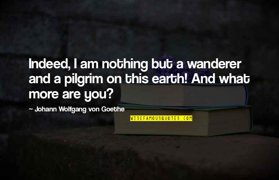 Kumandgo Quotes By Johann Wolfgang Von Goethe: Indeed, I am nothing but a wanderer and