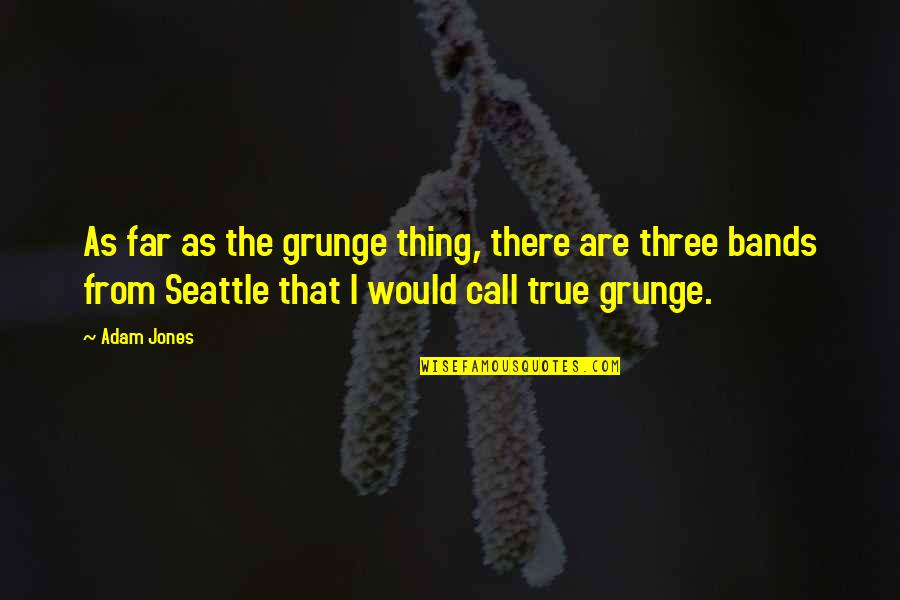 Kusetubuhi Quotes By Adam Jones: As far as the grunge thing, there are