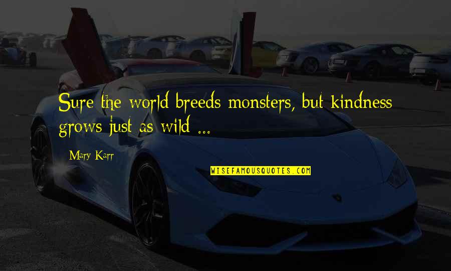 Labaye Radio Quotes By Mary Karr: Sure the world breeds monsters, but kindness grows