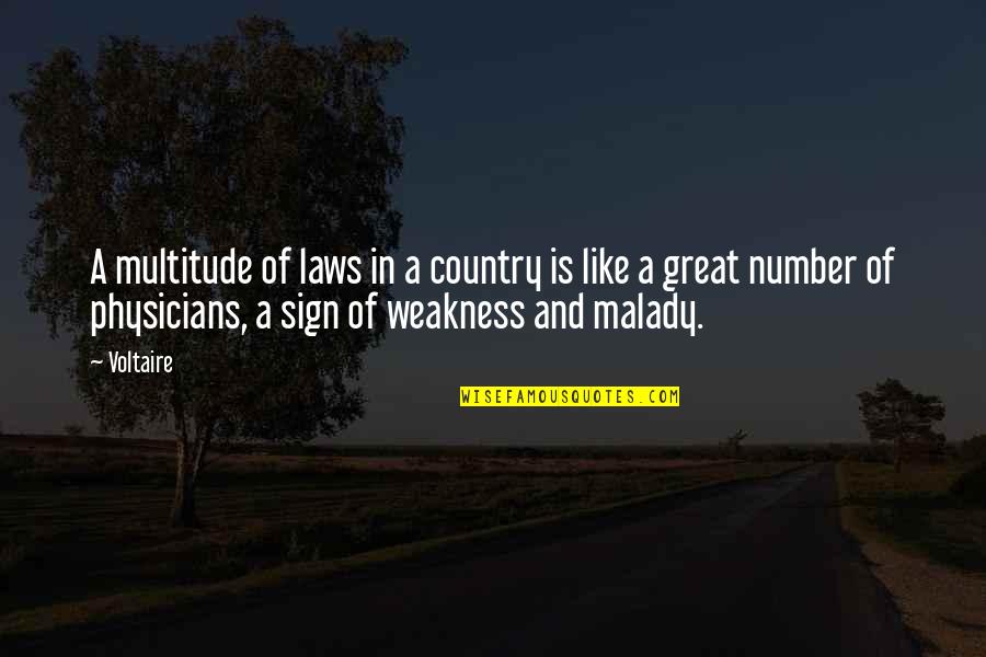 Labimex Quotes By Voltaire: A multitude of laws in a country is