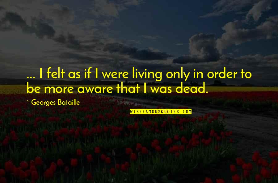 Lac Su Quotes By Georges Bataille: ... I felt as if I were living