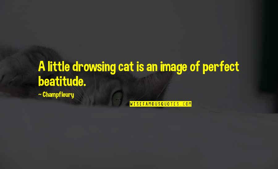 Ladar Levison Quotes By Champfleury: A little drowsing cat is an image of