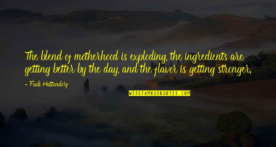 Lagunas Quotes By Fadi Hattendorf: The blend of motherhood is exploding, the ingredients