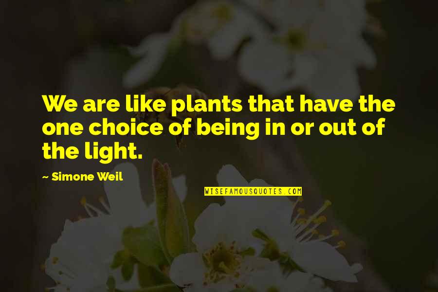 Lakban Fragile Quotes By Simone Weil: We are like plants that have the one