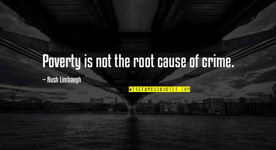 Lambroisie Montreal Wedding Quotes By Rush Limbaugh: Poverty is not the root cause of crime.