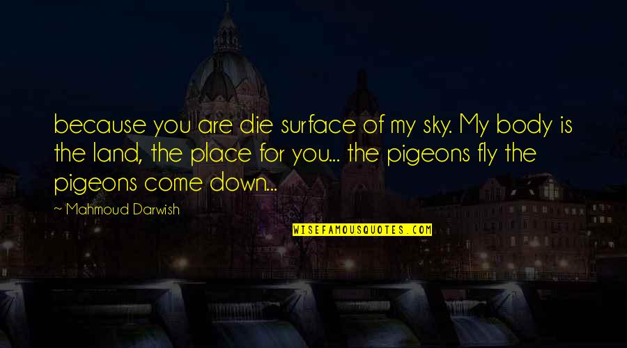 Land And Sky Quotes By Mahmoud Darwish: because you are die surface of my sky.