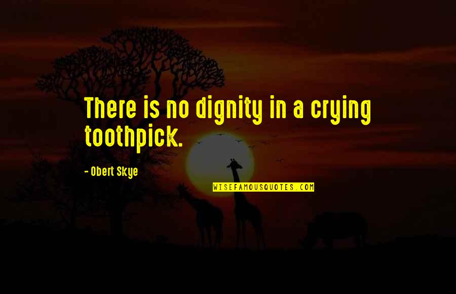 Landaluce Quotes By Obert Skye: There is no dignity in a crying toothpick.