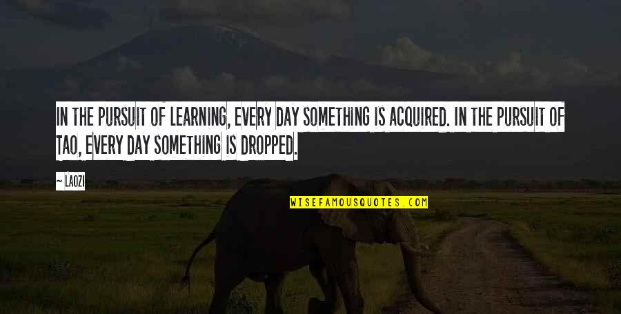 Laozi Quotes By Laozi: In the pursuit of learning, every day something