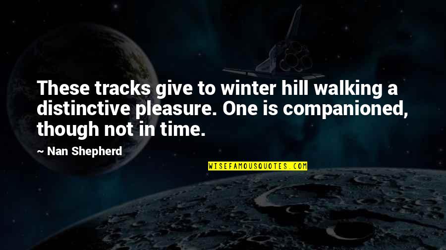 Laranjinha Roupa Quotes By Nan Shepherd: These tracks give to winter hill walking a