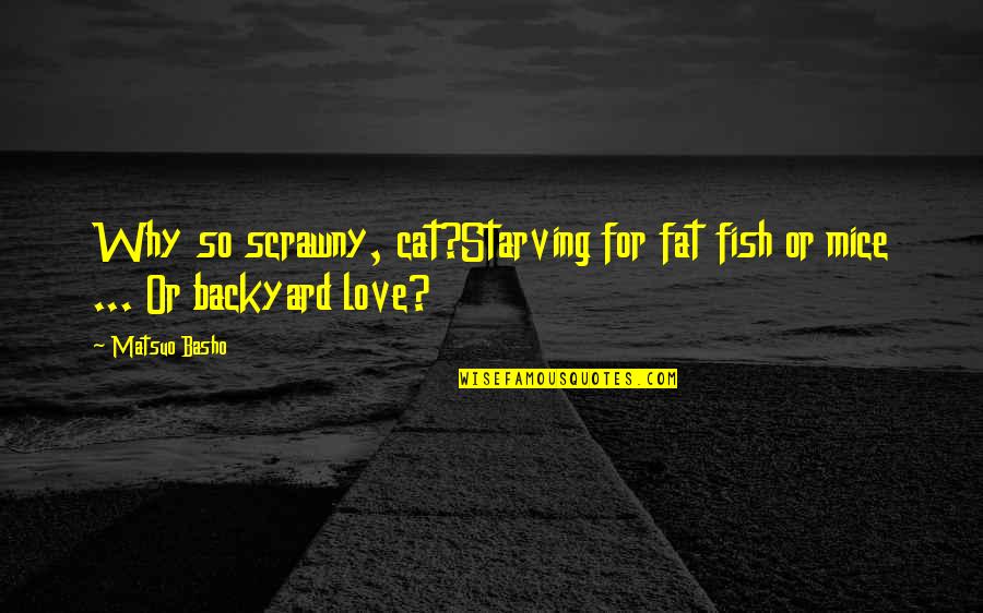 Launey Usb C Quotes By Matsuo Basho: Why so scrawny, cat?Starving for fat fish or