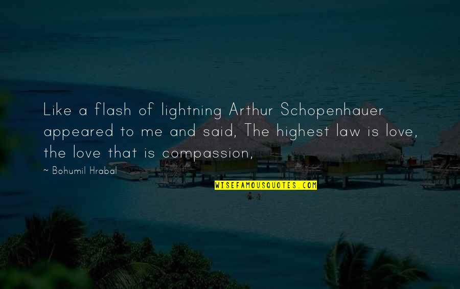 Law Of Love Quotes By Bohumil Hrabal: Like a flash of lightning Arthur Schopenhauer appeared