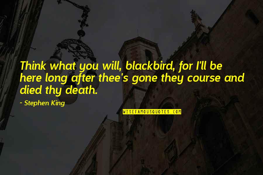 Lawrence Freedman Quotes By Stephen King: Think what you will, blackbird, for I'll be