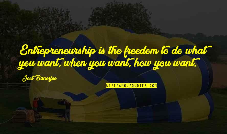 Lds Mtc Quotes By Jeet Banerjee: Entrepreneurship is the freedom to do what you