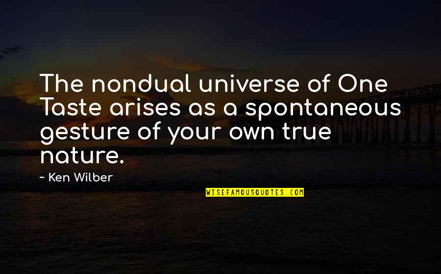 Lds Scripture Quotes By Ken Wilber: The nondual universe of One Taste arises as