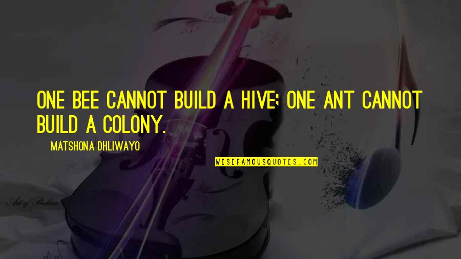 Lead Quote Quotes By Matshona Dhliwayo: One bee cannot build a hive; one ant