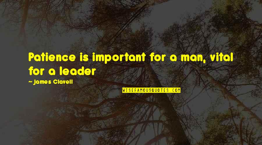 Leader Quotes By James Clavell: Patience is important for a man, vital for