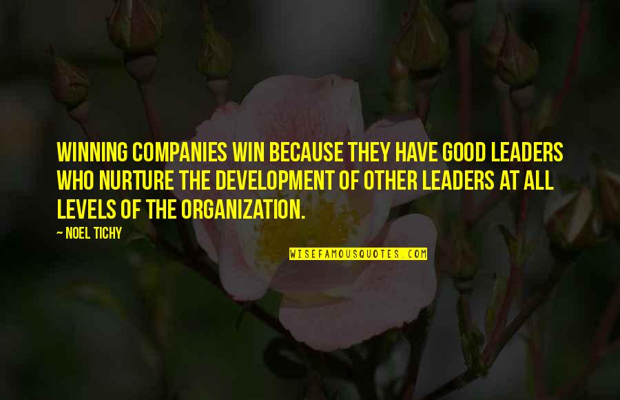 Leader Quotes By Noel Tichy: Winning companies win because they have good leaders