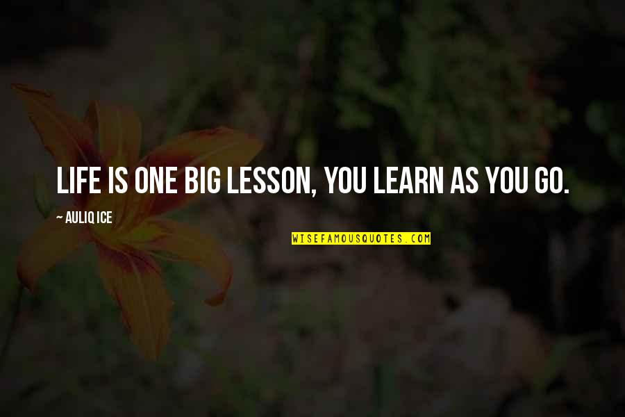 Learn As You Go Quotes By Auliq Ice: Life is one big lesson, you learn as