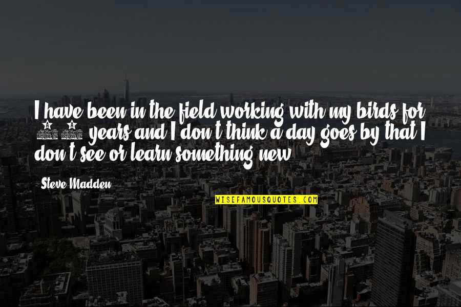 Learn From Birds Quotes By Steve Madden: I have been in the field working with