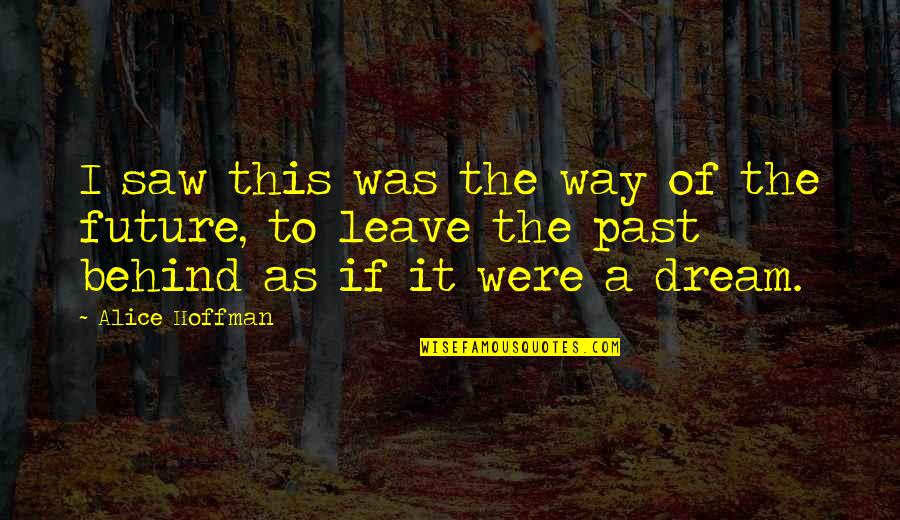 Leave You In The Past Quotes By Alice Hoffman: I saw this was the way of the