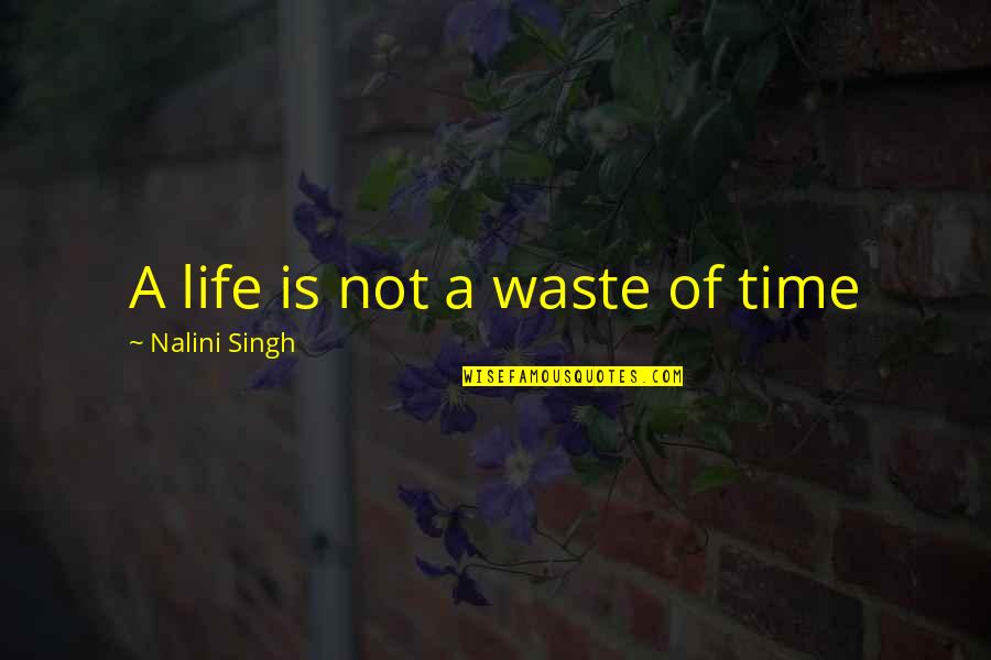 Leben Des Brian Quotes By Nalini Singh: A life is not a waste of time