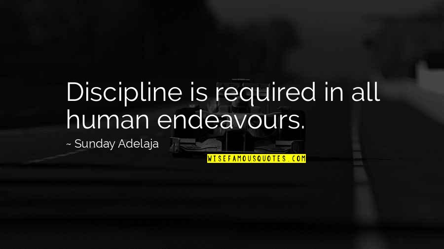 Lecciones Biblicas Quotes By Sunday Adelaja: Discipline is required in all human endeavours.