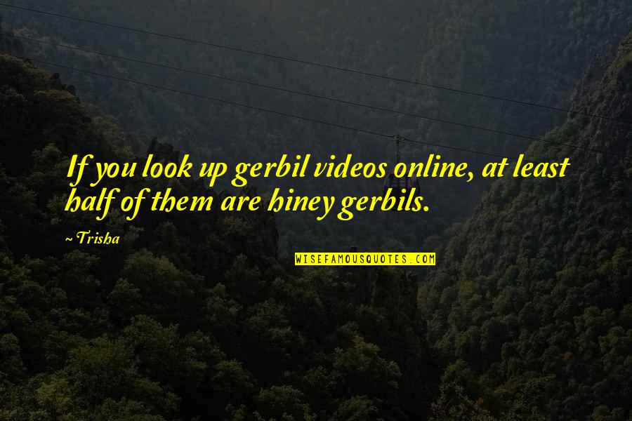 Ledges Golf Quotes By Trisha: If you look up gerbil videos online, at