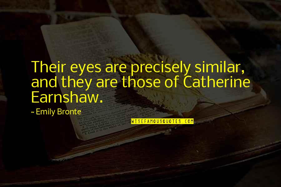 Ledins H Lsom L Quotes By Emily Bronte: Their eyes are precisely similar, and they are