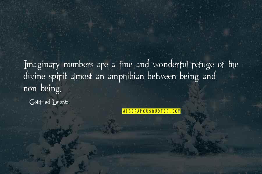 Leibniz's Quotes By Gottfried Leibniz: Imaginary numbers are a fine and wonderful refuge