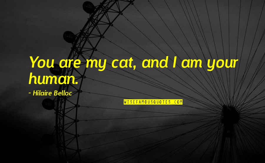 Leif Erickson Quotes By Hilaire Belloc: You are my cat, and I am your