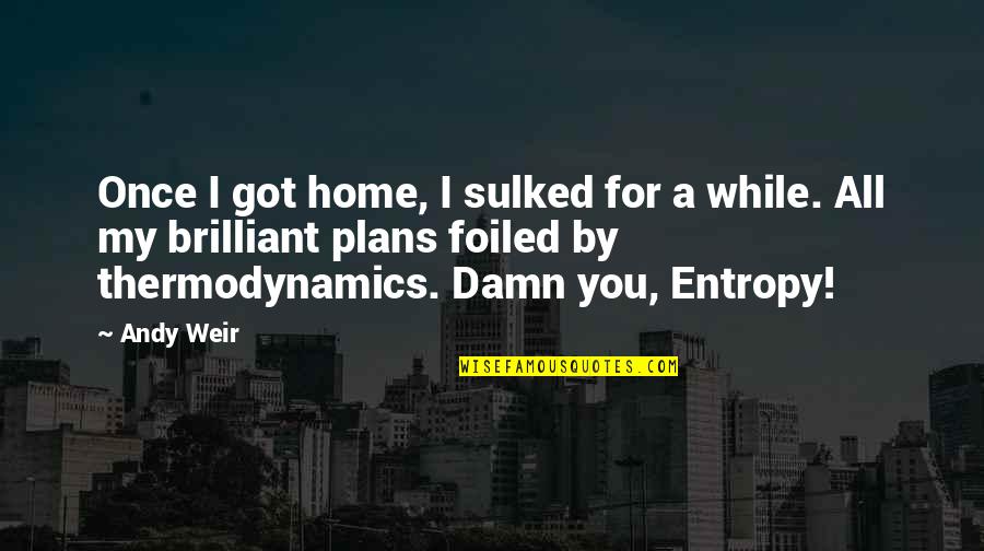 Leport Encinitas Quotes By Andy Weir: Once I got home, I sulked for a