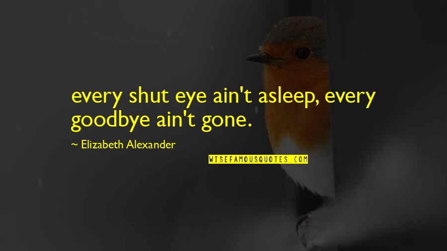 Lest We Forget Mean Quotes By Elizabeth Alexander: every shut eye ain't asleep, every goodbye ain't