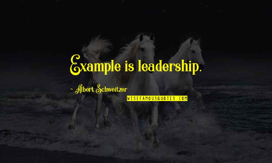 Let's Spend The Rest Of Our Lives Together Quotes By Albert Schweitzer: Example is leadership.