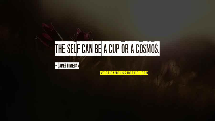 Letscher Quotes By James Finnegan: The self can be a cup or a