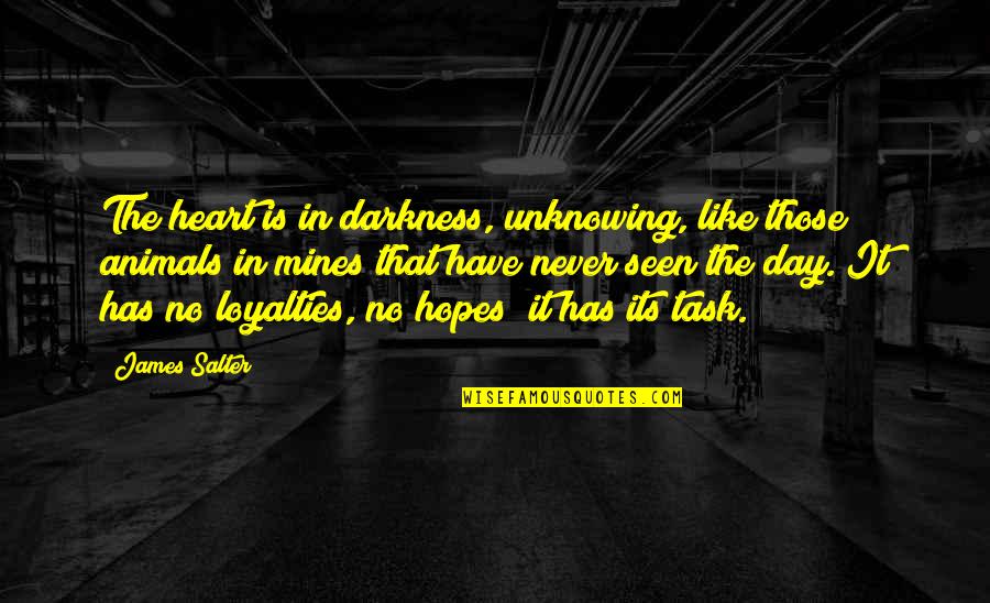 Levak Na Quotes By James Salter: The heart is in darkness, unknowing, like those